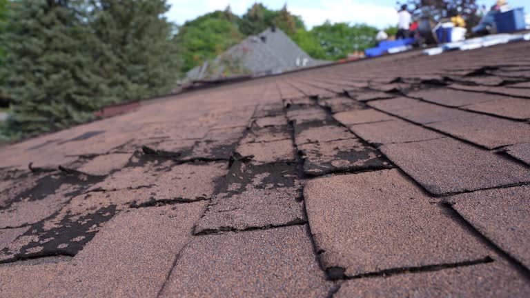 Fast & Reliable Emergency Roof Repairs in West Milton, PA